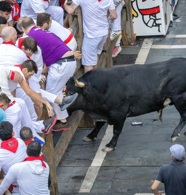 Inside the Running of the Bulls: A Complete Cultural Guide to Pamplona’s San Fermín Festival photo | Cosmopolitours A runner narrowly escapes a charging bull by leaping onto a wooden barricade during the Running of the Bulls in Pamplona, while others assist and look on in alarm.
