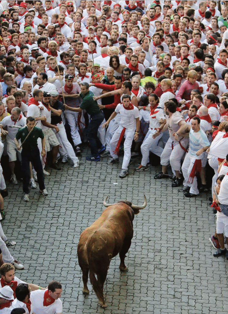 Pamplona Running of the Bulls 2026: Complete Travel Guide & Cultural Context photo | Cosmopolitours A lone bull approaches a tightly packed crowd of runners during the San Fermín bull run in Pamplona.