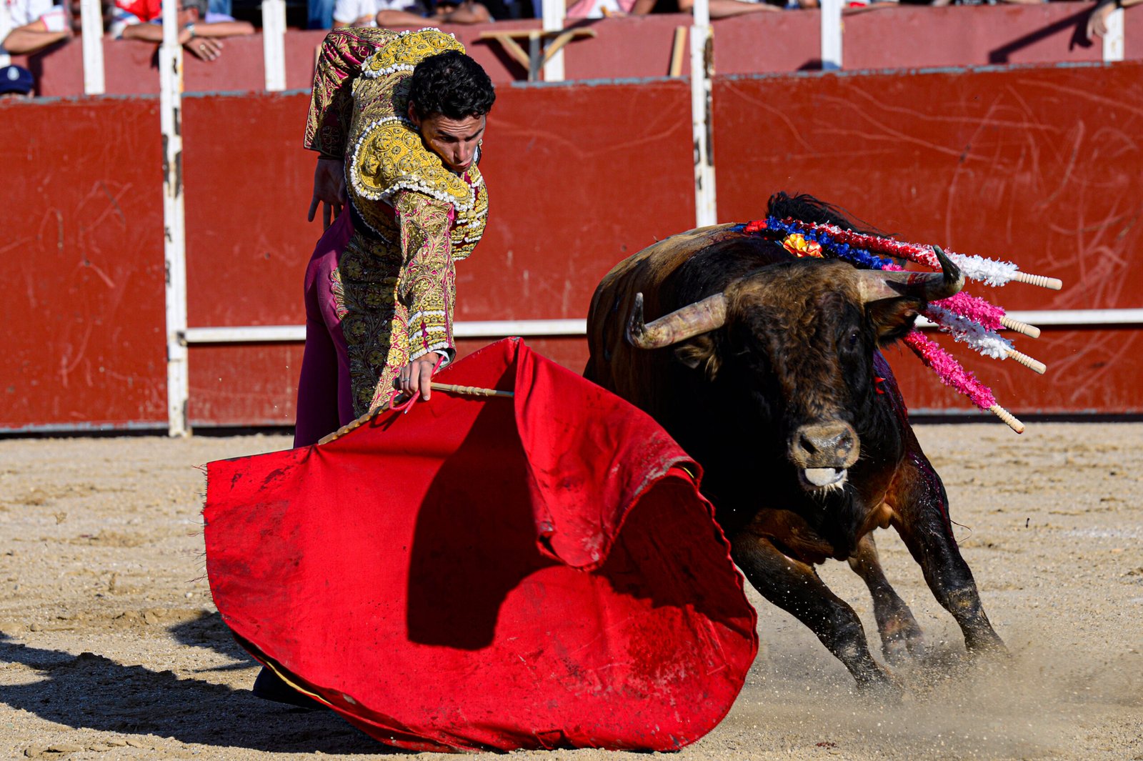 Bullfighting Tourism Ethics: What Spanish People Really Think 2026 photo | Cosmopolitours Bullfighting Tourism Ethics