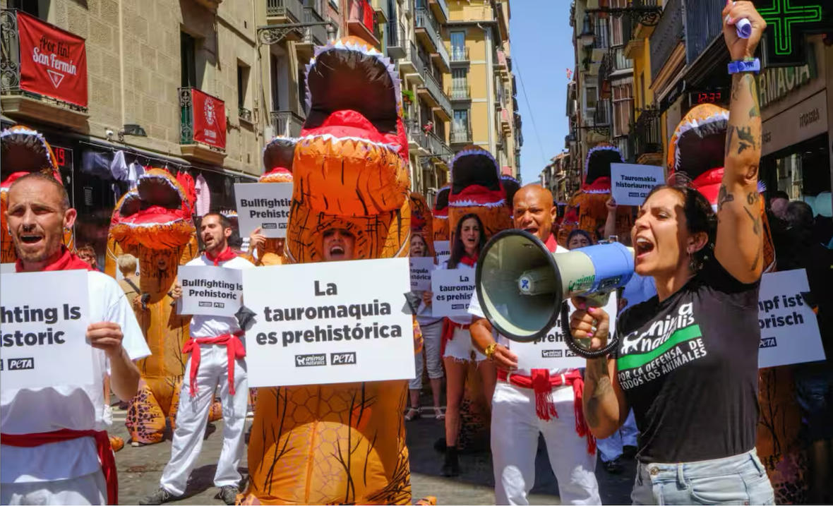 Bullfighting Tourism Ethics: What Spanish People Really Think 2026 photo | Cosmopolitours Anti-Bull Run Protest in Pamplona, Spain